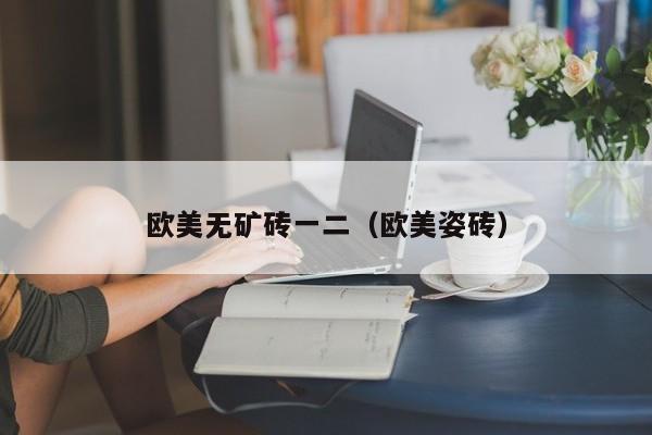 欧美无矿砖一二(欧美姿砖)