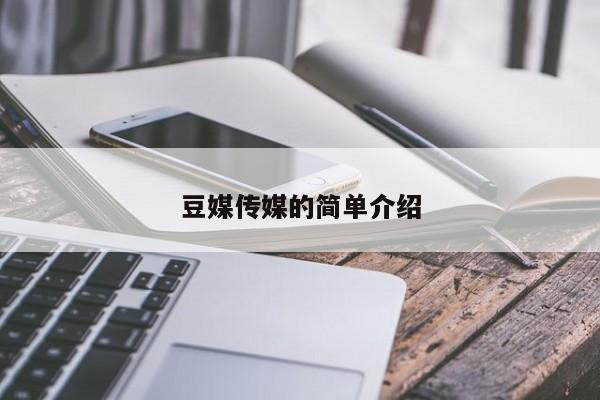豆媒传媒的简单介绍